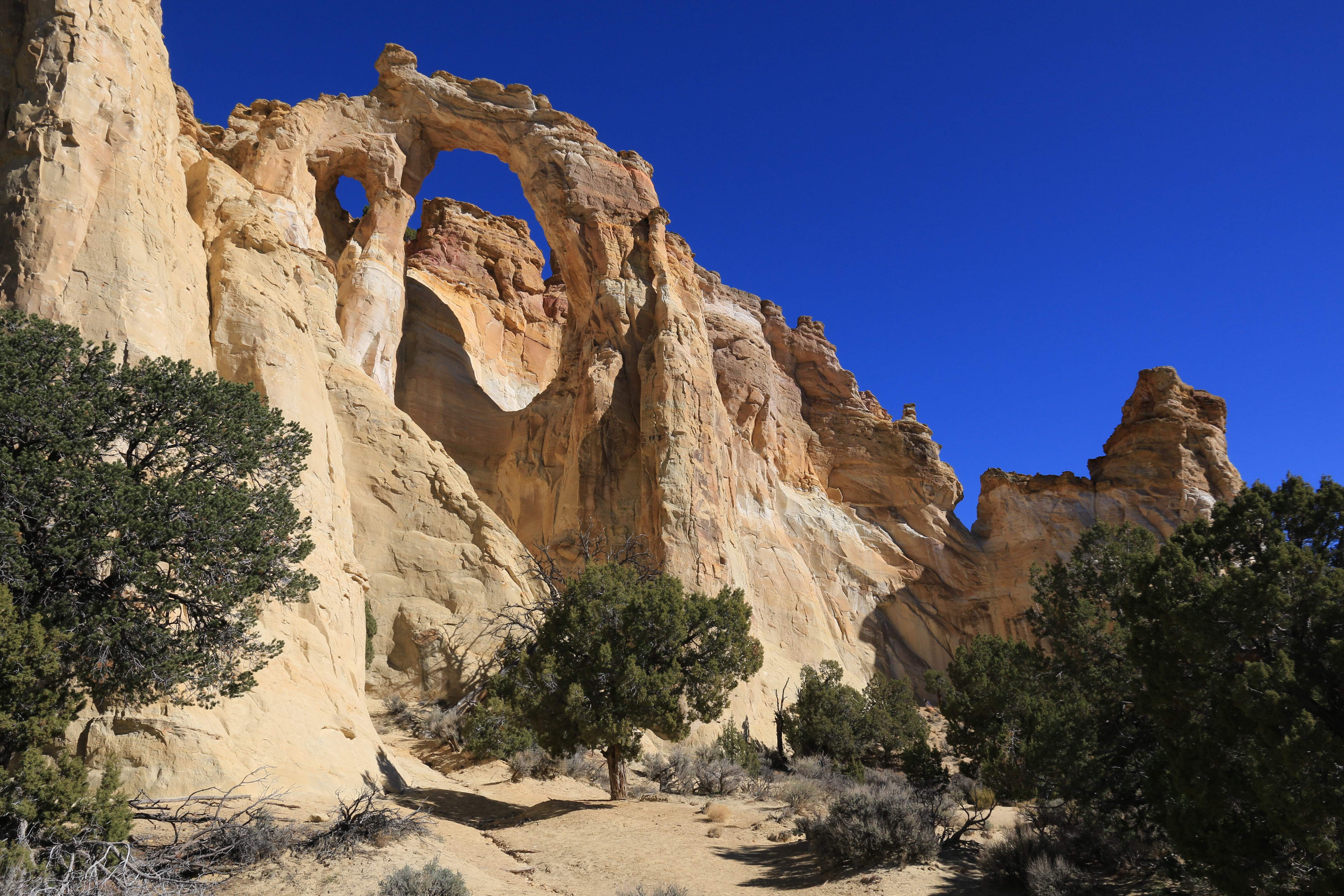 Escalante